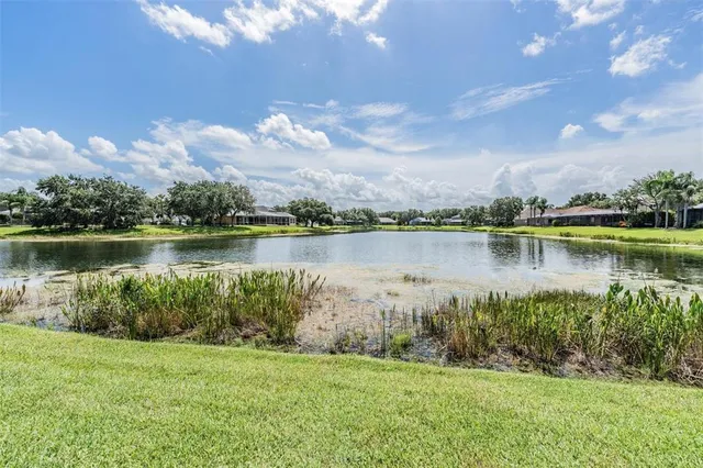 $695,000 | 19119 Mandarin Grove Place, Tampa, FL 33647