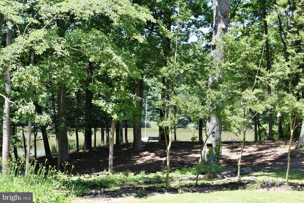 9640 Bantry Road Easton, MD 21601 - Photo 13 of 24 View