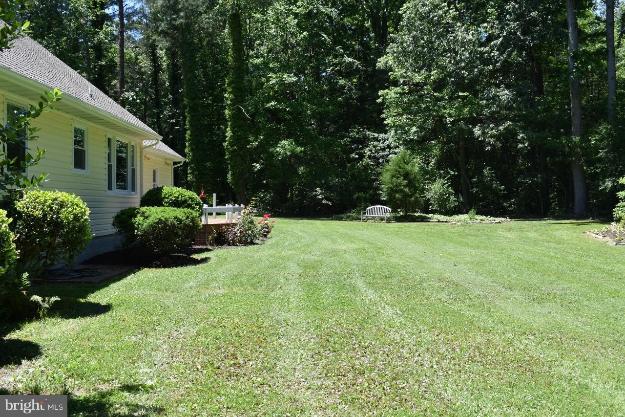 9640 Bantry Road Easton, MD 21601 - Photo 3 of 24 Exterior (Rear)