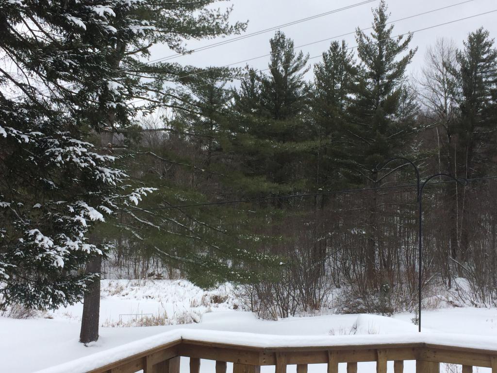 1111 Mountain Road Montgomery, VT 05471 - Photo 14 of 18 Gallery Image 14