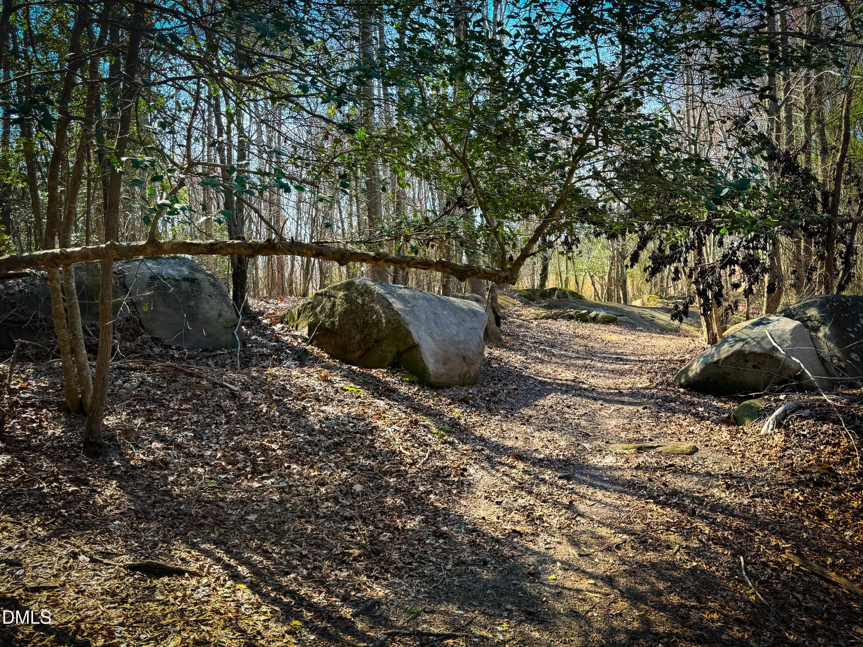 2800 Shepard School Road Zebulon, NC 27597 - Photo 39 of 43 Shepard School Final 039