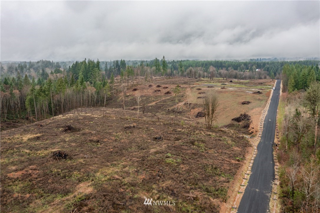 0 Haywire Road Winlock, WA 98596 - Photo 2 of 14