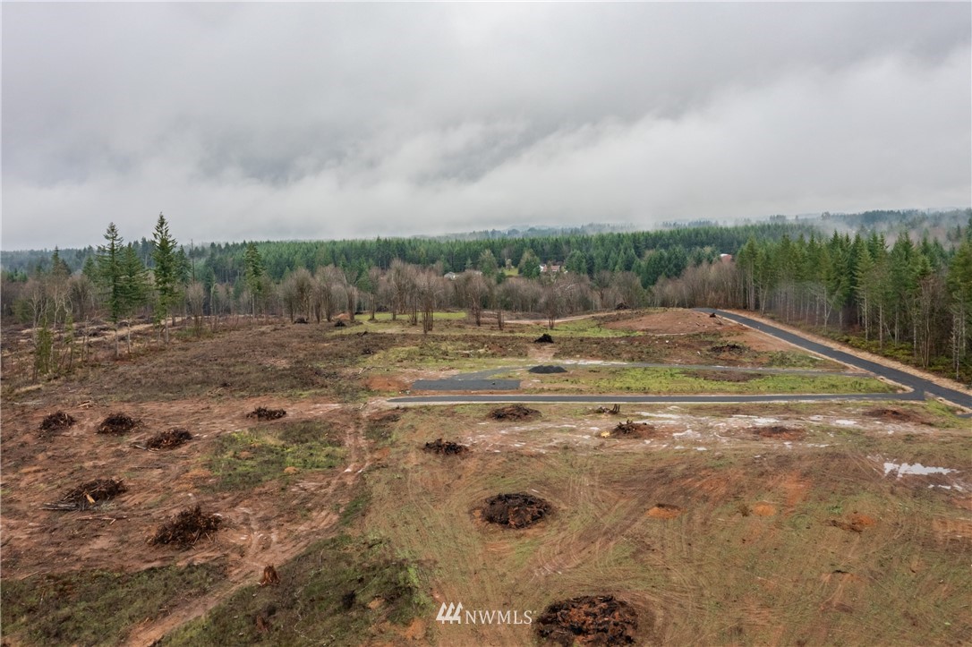0 Haywire Road Winlock, WA 98596 - Photo 5 of 14
