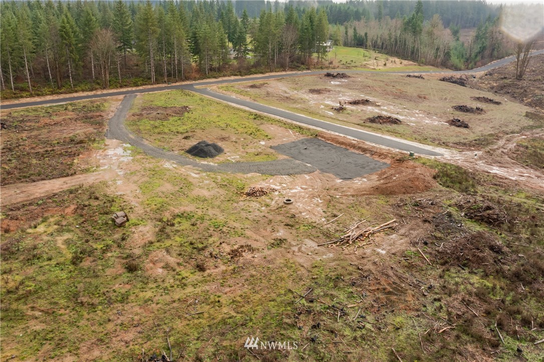 0 Haywire Road Winlock, WA 98596 - Photo 8 of 14