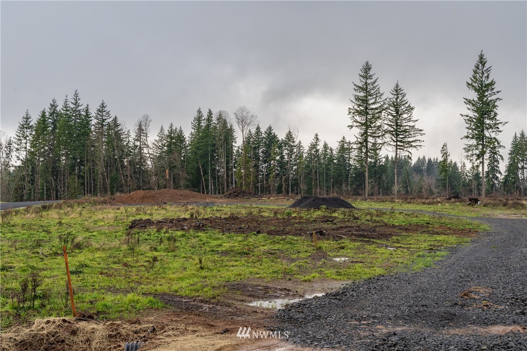0 Haywire Road Winlock, WA 98596 - Photo 10 of 14