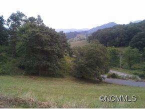 572 Henson Cove Road Canton, NC 28716 - Photo 16 of 17