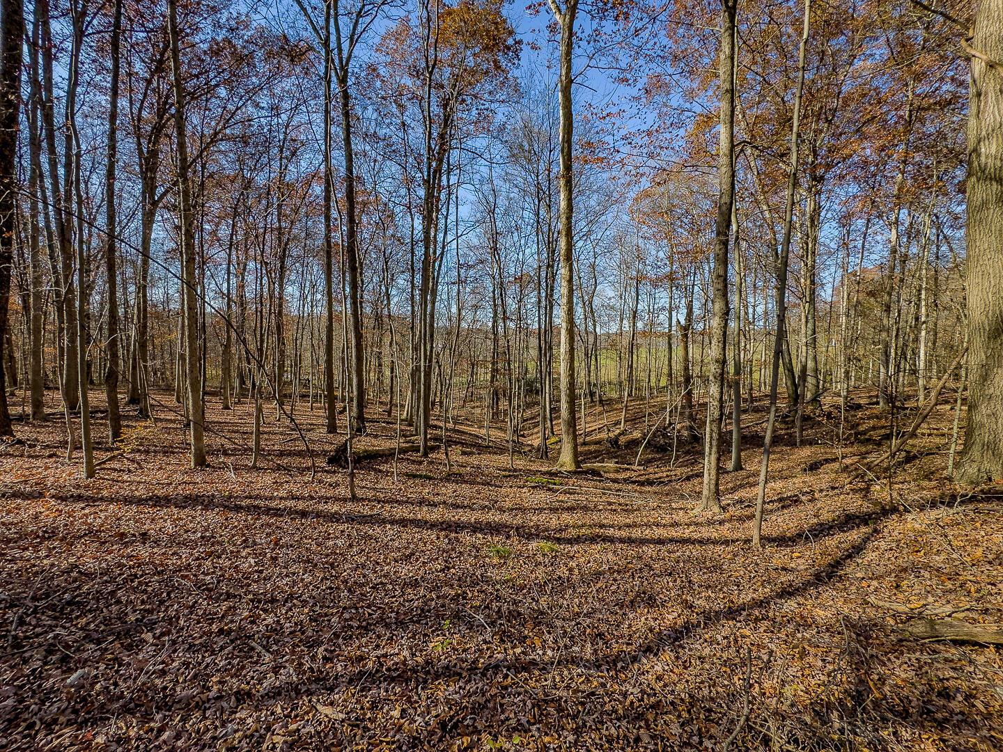 9615 Rural Dale Road Blue Rock, OH 43720 - Photo 71 of 83 9615 Rural Dale Rd-71