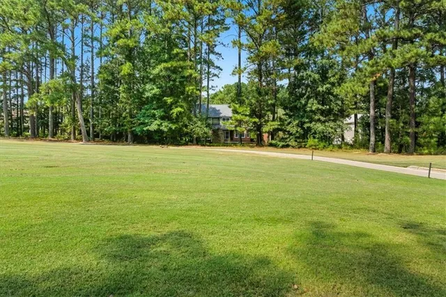a view of a field with trees in the background