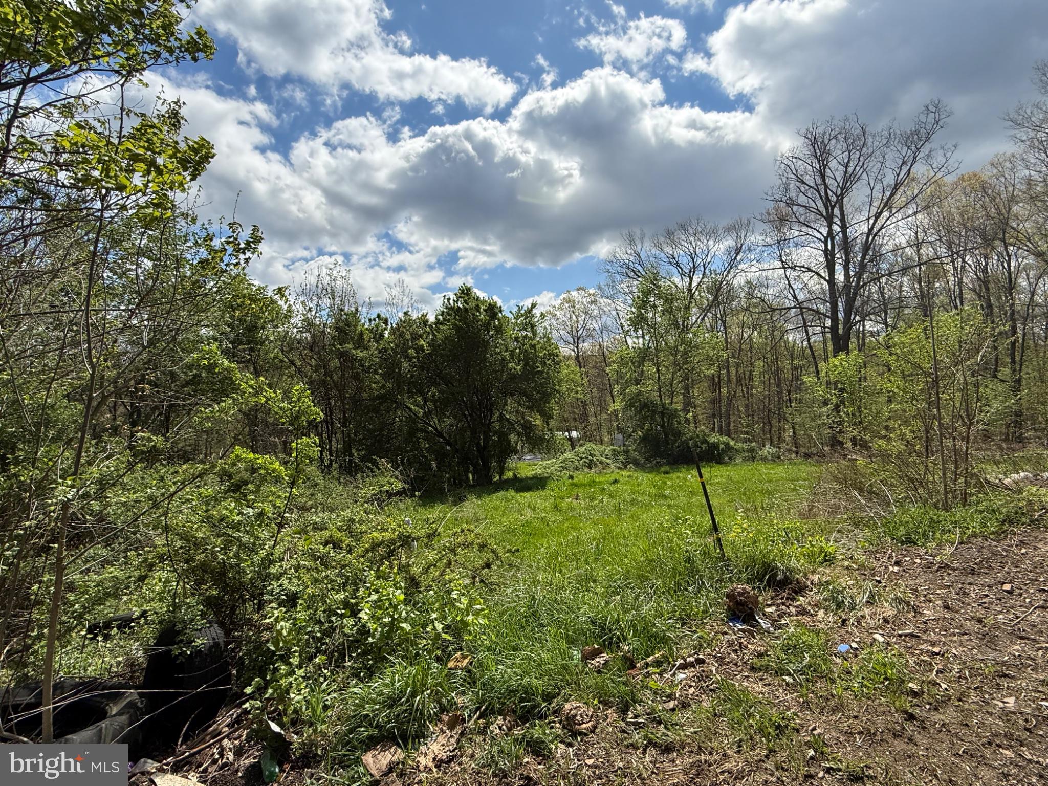 15232 Wrangletown Road Mount Union, PA 17066 - Photo 87 of 92 Lush greenery under a bright sky.