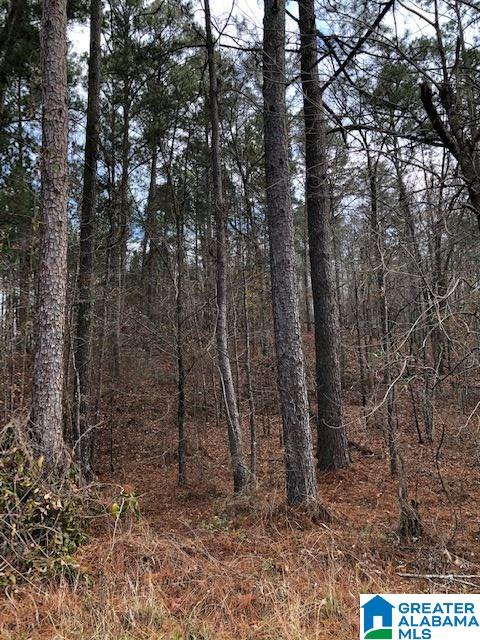 0 Pleasant Valley Road, Unit 1 Jacksonville, AL 36265 - Photo 2 of 24