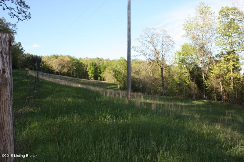 1443 Junction Road Falls Of Rough, KY 40119 - Photo 7 of 55 2Jerry Davis auction Pics