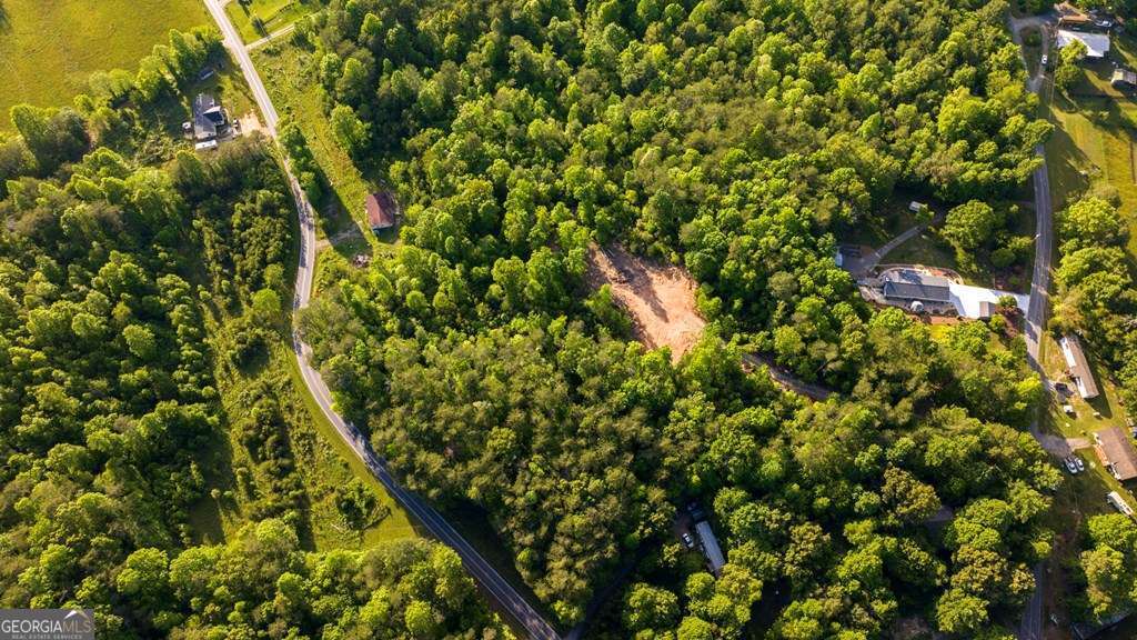 1 West Gum Log Road Warne, NC 28909 - Photo 11 of 26