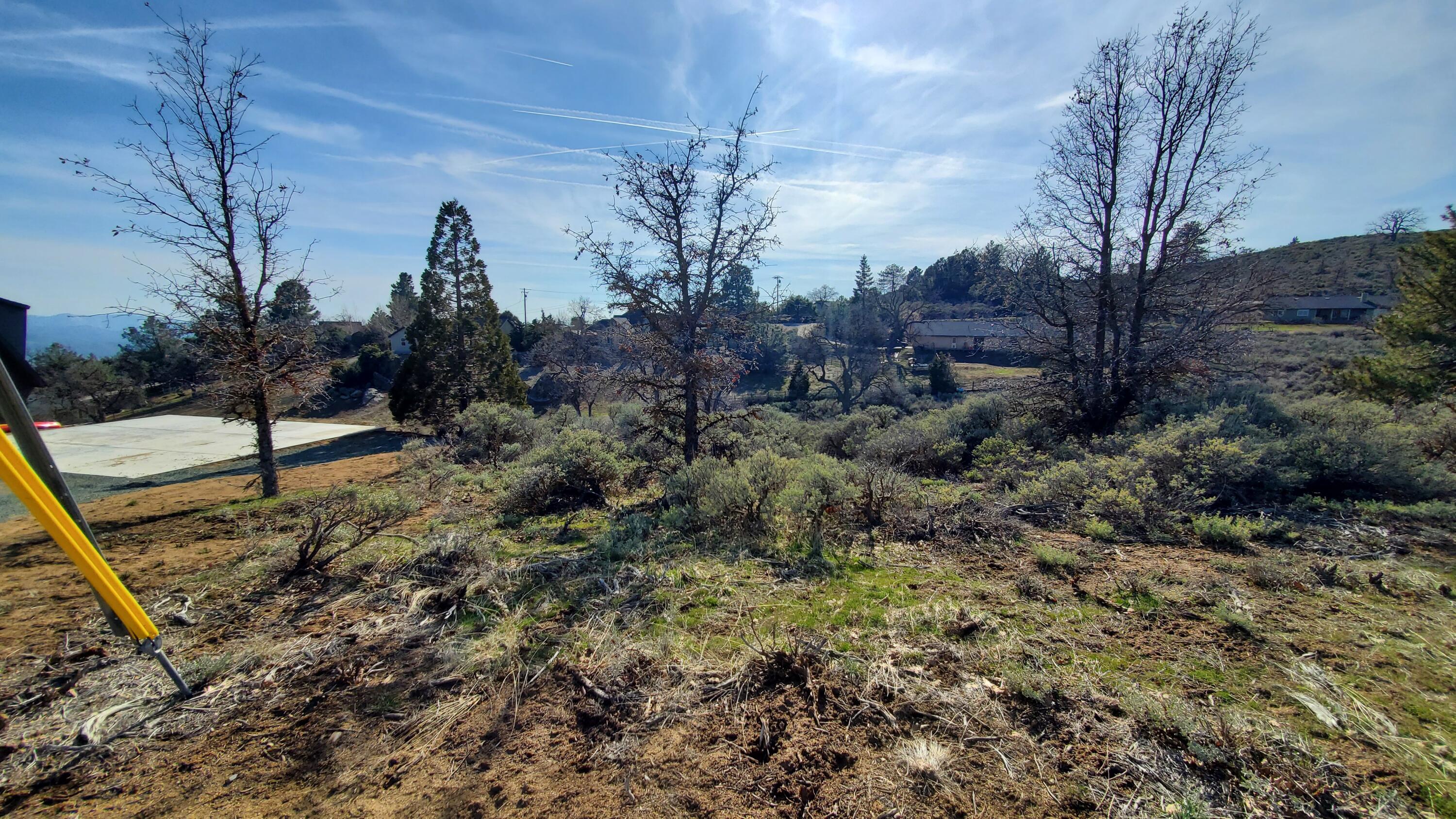 25041 Jacaranda Drive Tehachapi, CA 93561 - Photo 17 of 30 20230405_162256