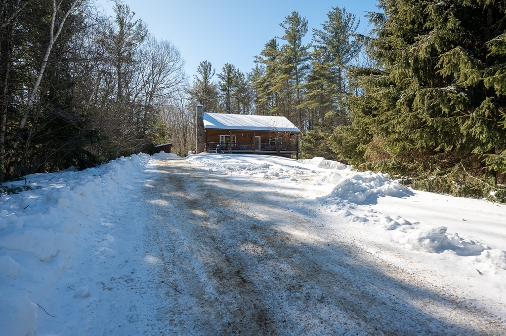 76 Wheeler Road Princeton, MA 01541 - Photo 36 of 42 a view of a backyard with large trees
