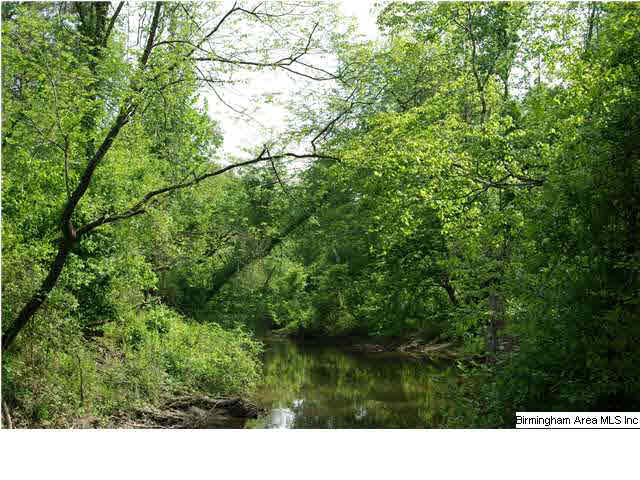 Shoal Creek Road, Unit 56 Ashville, AL 35953 - Photo 19 of 21