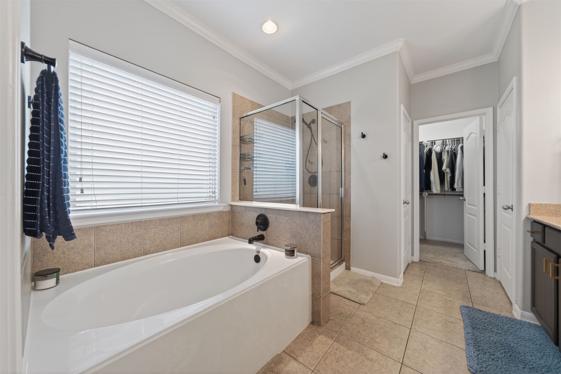 21847 Mount Hunt Drive Spring, TX 77388 - Photo 19 of 50