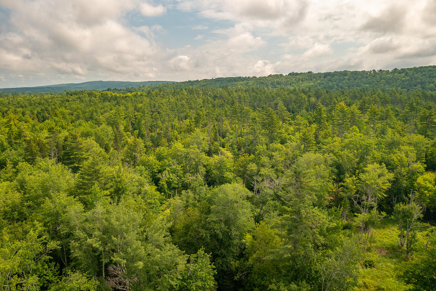 0 Happy Hollow Road Union, ME 04862 - Photo 3 of 12 DJI_0569