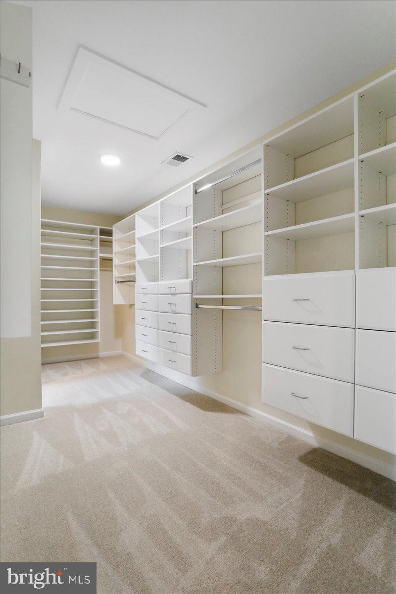 154 Triumphant Way Falling Waters, WV 25419 - Photo 29 of 60 Custom Closet