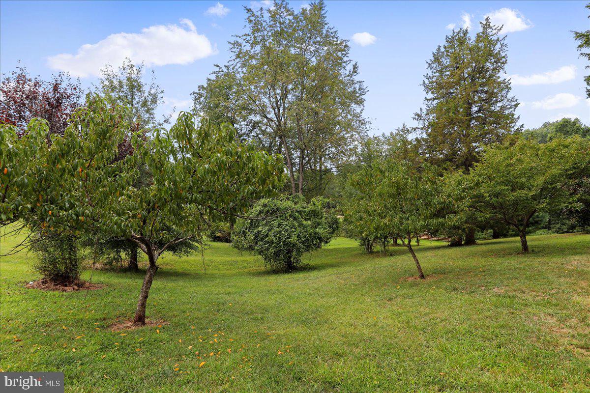 154 Triumphant Way Falling Waters, WV 25419 - Photo 56 of 60 Side Yard