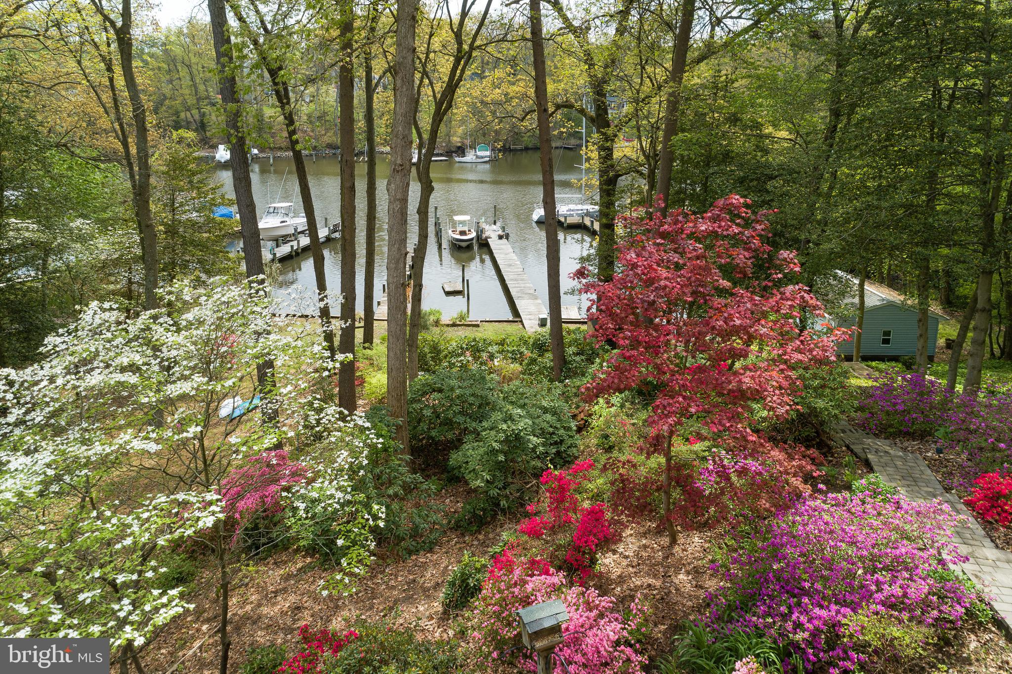 View from deck