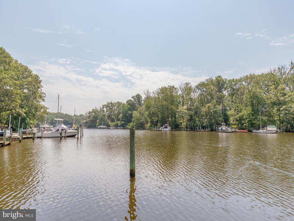 815 Dividing Road Severna Park, MD 21146 - Photo 70 of 74 View of Buckingham Cove