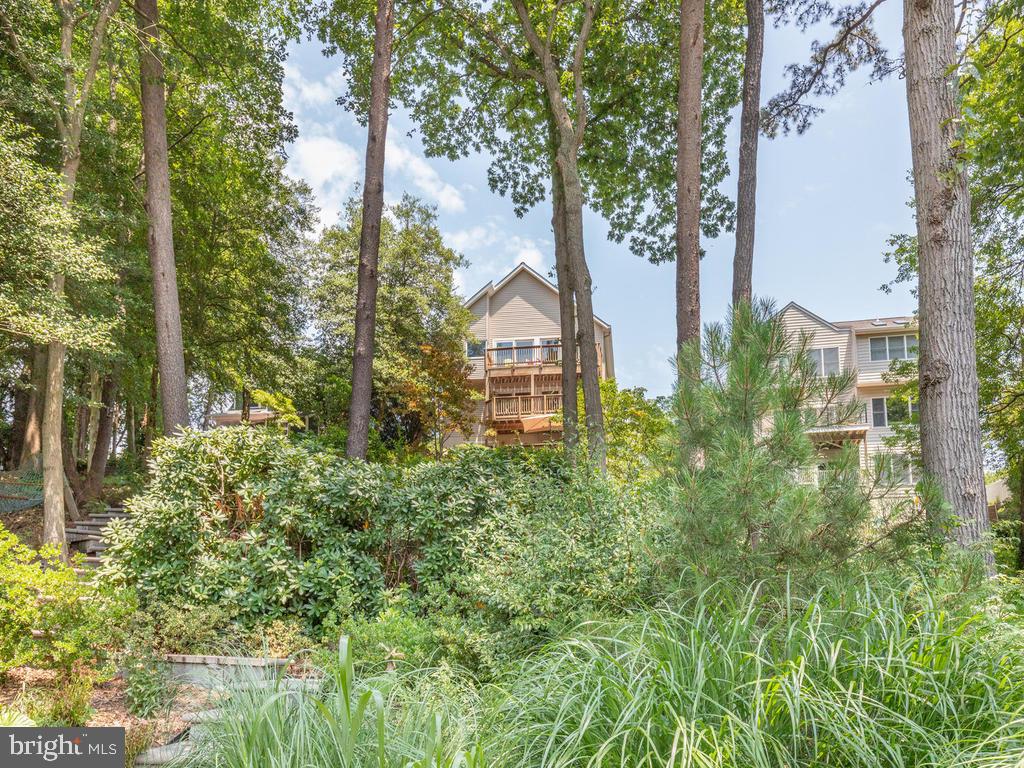 815 Dividing Road Severna Park, MD 21146 - Photo 72 of 74 Gallery Image 72