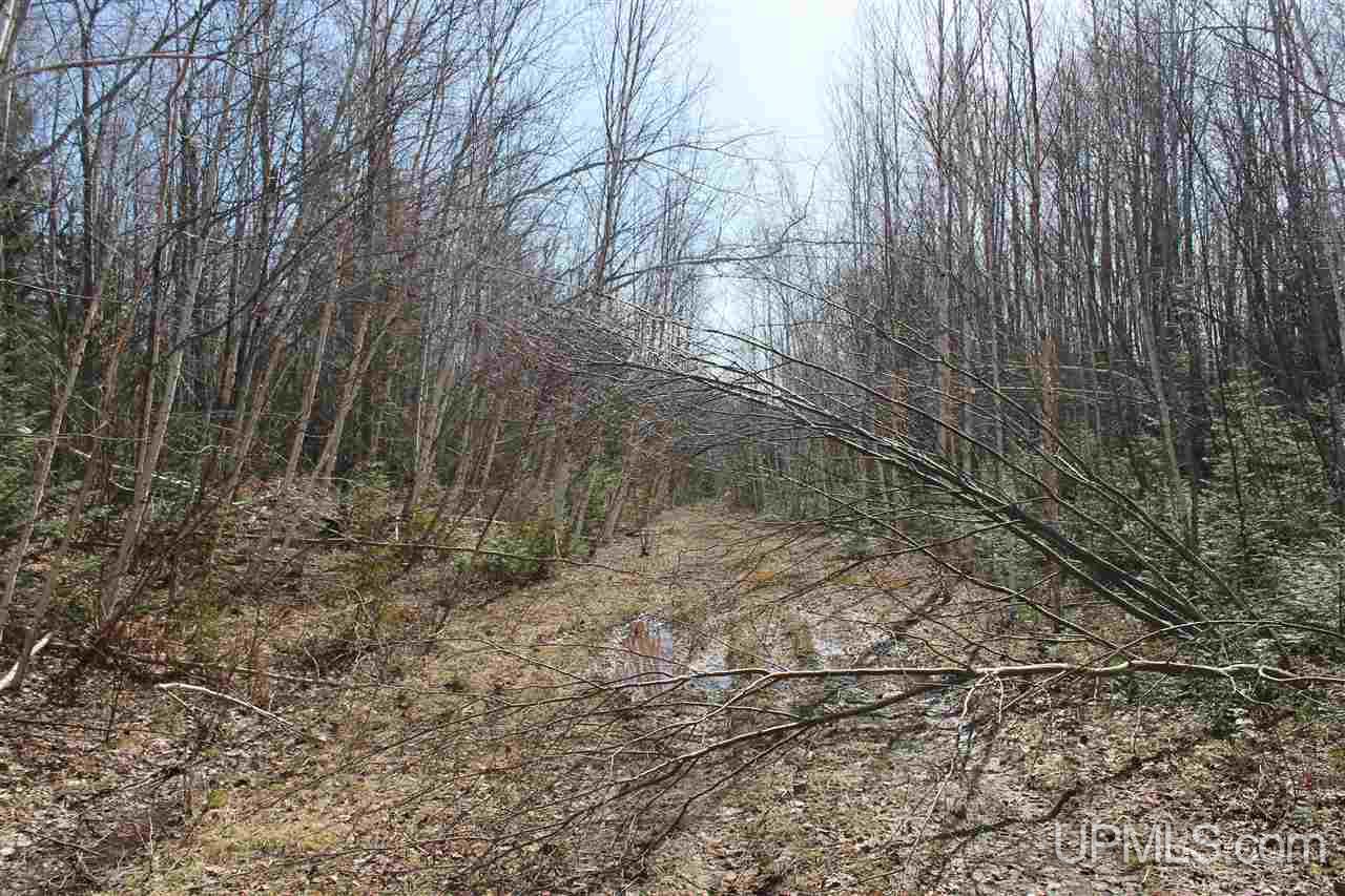 Tbd Reeds Point Road, Unit LAT 46 89919 LON 88 2455 Lanse, MI 49946 - Photo 18 of 19