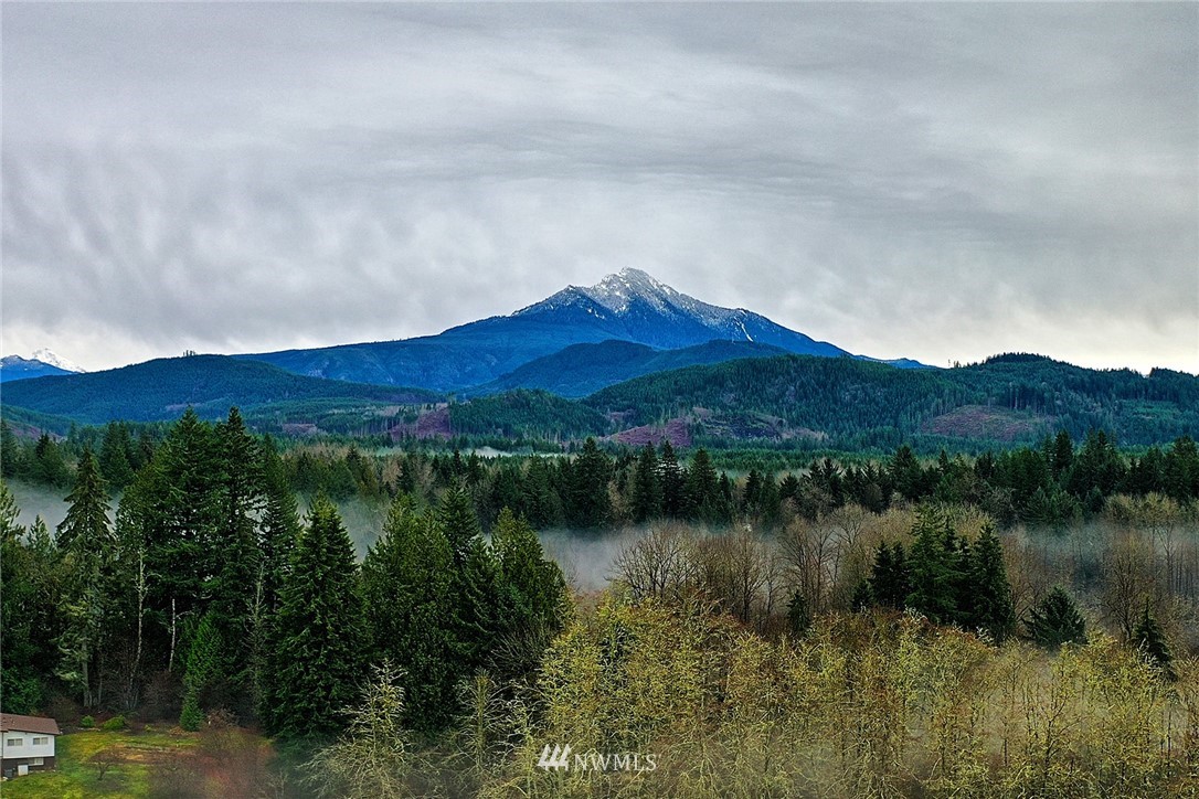 5918 Robe Menzel Road Snohomish, WA 98290 - Photo 40 of 40 a view of a lake in middle of forest