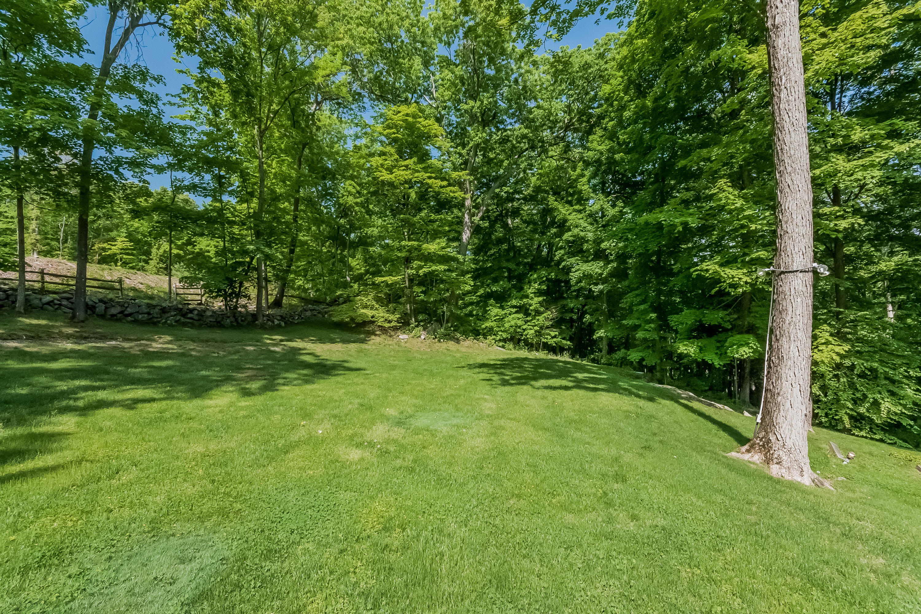 103 Salem Road New Canaan, CT 06840 - Photo 39 of 42 a view of a field with trees in the background