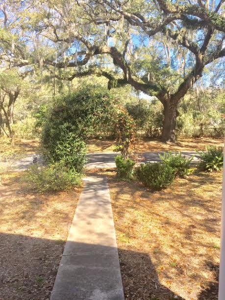 2127 Wappoo Hall Road Charleston, SC 29412 - Photo 3 of 21 2127 mailbox