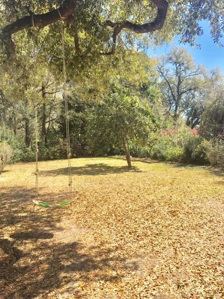 2127 Wappoo Hall Road Charleston, SC 29412 - Photo 6 of 21 2127 backyard