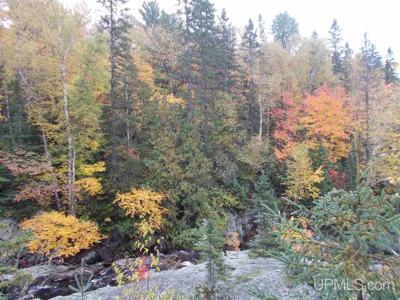 640-acres Peshekee Grade Road Skanee, MI 49946 - Photo 26 of 37
