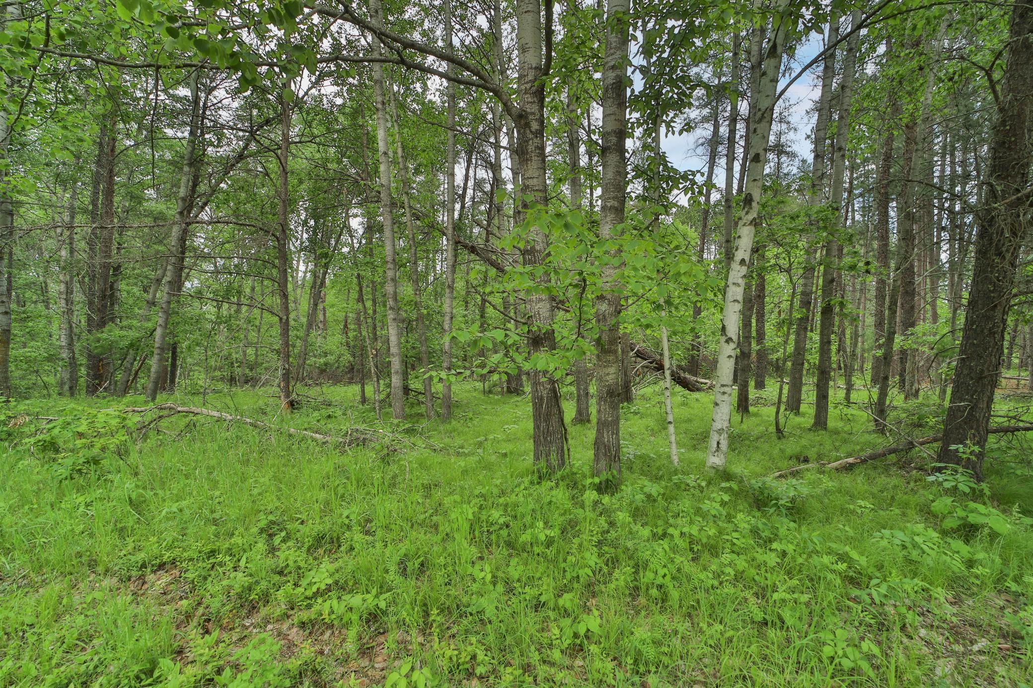 Lot 15 Cedar Street Breezy Point, MN 56472 - Photo 2 of 6