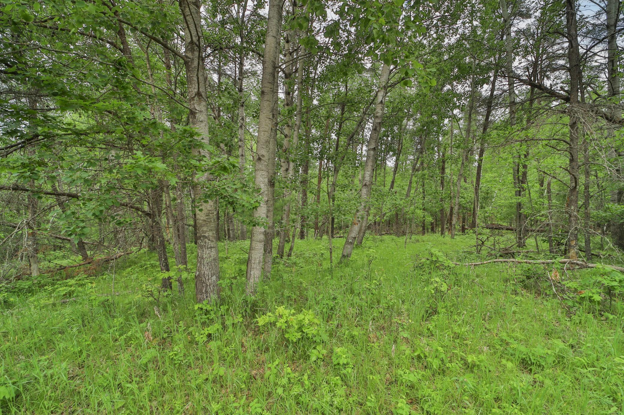Lot 15 Cedar Street Breezy Point, MN 56472 - Photo 4 of 6