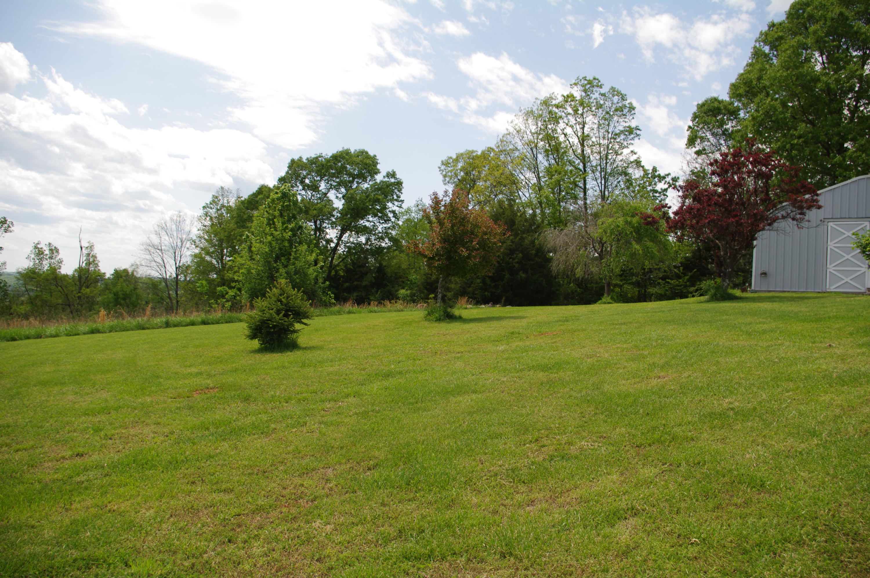 131 Short Creek Road Decatur, TN 37322 - Photo 11 of 46 IMGP0350