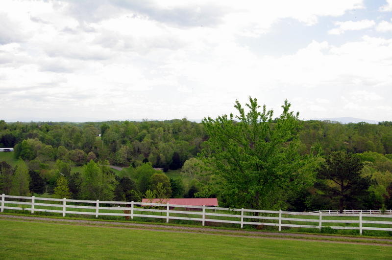 131 Short Creek Road Decatur, TN 37322 - Photo 38 of 46 IMGP0426