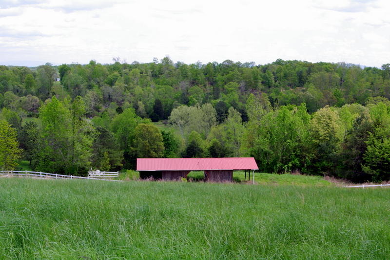 131 Short Creek Road Decatur, TN 37322 - Photo 39 of 46 IMGP0428