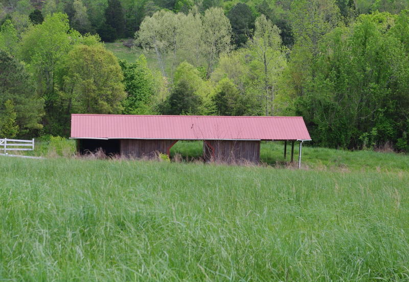 131 Short Creek Road Decatur, TN 37322 - Photo 40 of 46 IMGP0429