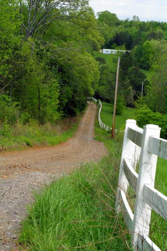 131 Short Creek Road Decatur, TN 37322 - Photo 41 of 46 IMGP0433