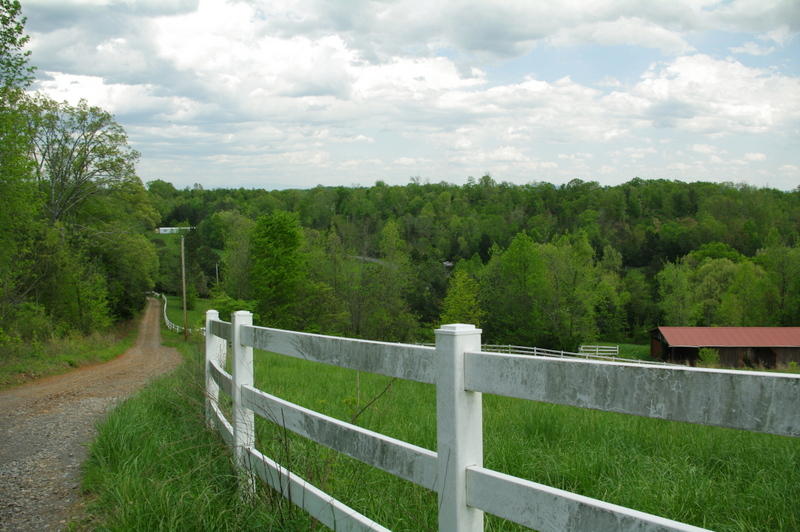 131 Short Creek Road Decatur, TN 37322 - Photo 42 of 46 IMGP0434
