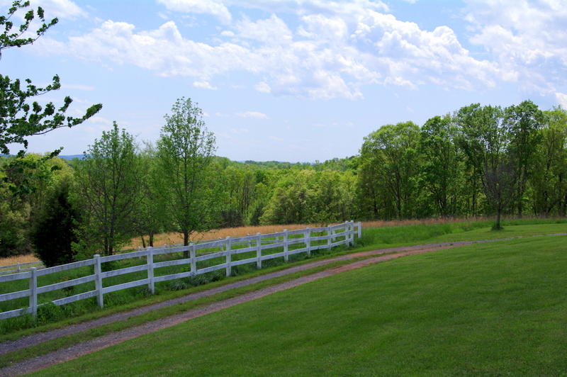 131 Short Creek Road Decatur, TN 37322 - Photo 43 of 46 IMGP0336