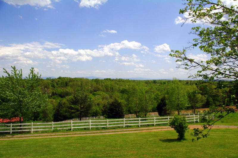 131 Short Creek Road Decatur, TN 37322 - Photo 44 of 46 IMGP0397