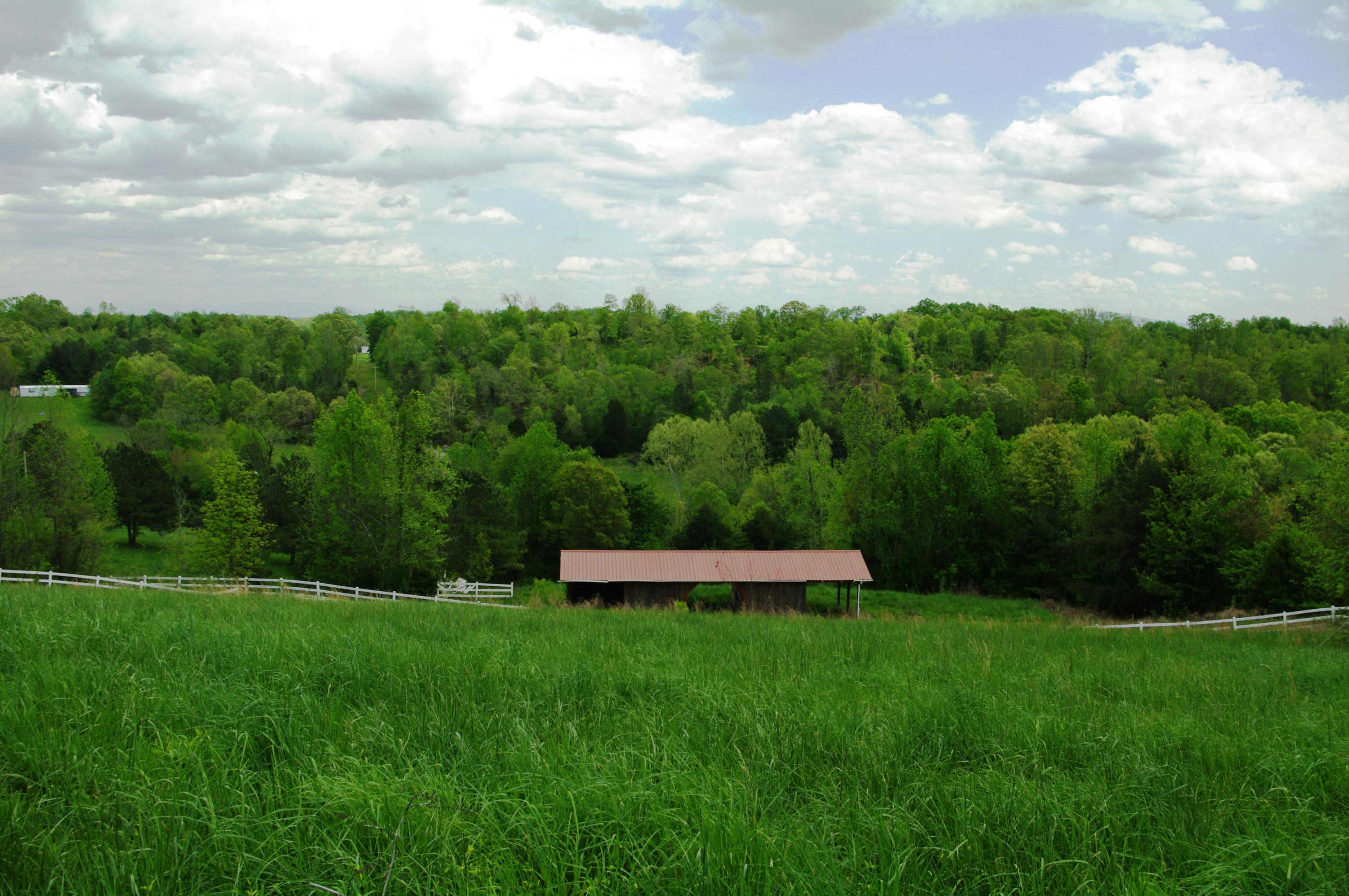 131 Short Creek Road Decatur, TN 37322 - Photo 46 of 46 IMGP0430