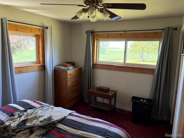 4815 Loree Road Deckerville, MI 48427 - Photo 23 of 44