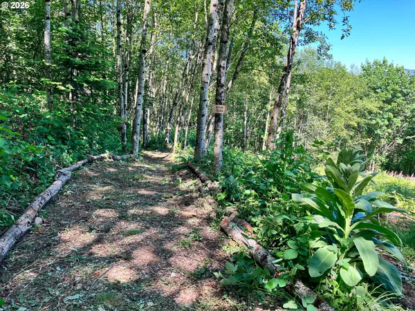 $345,000 | 182 White Dog Road, Washougal, WA 98671