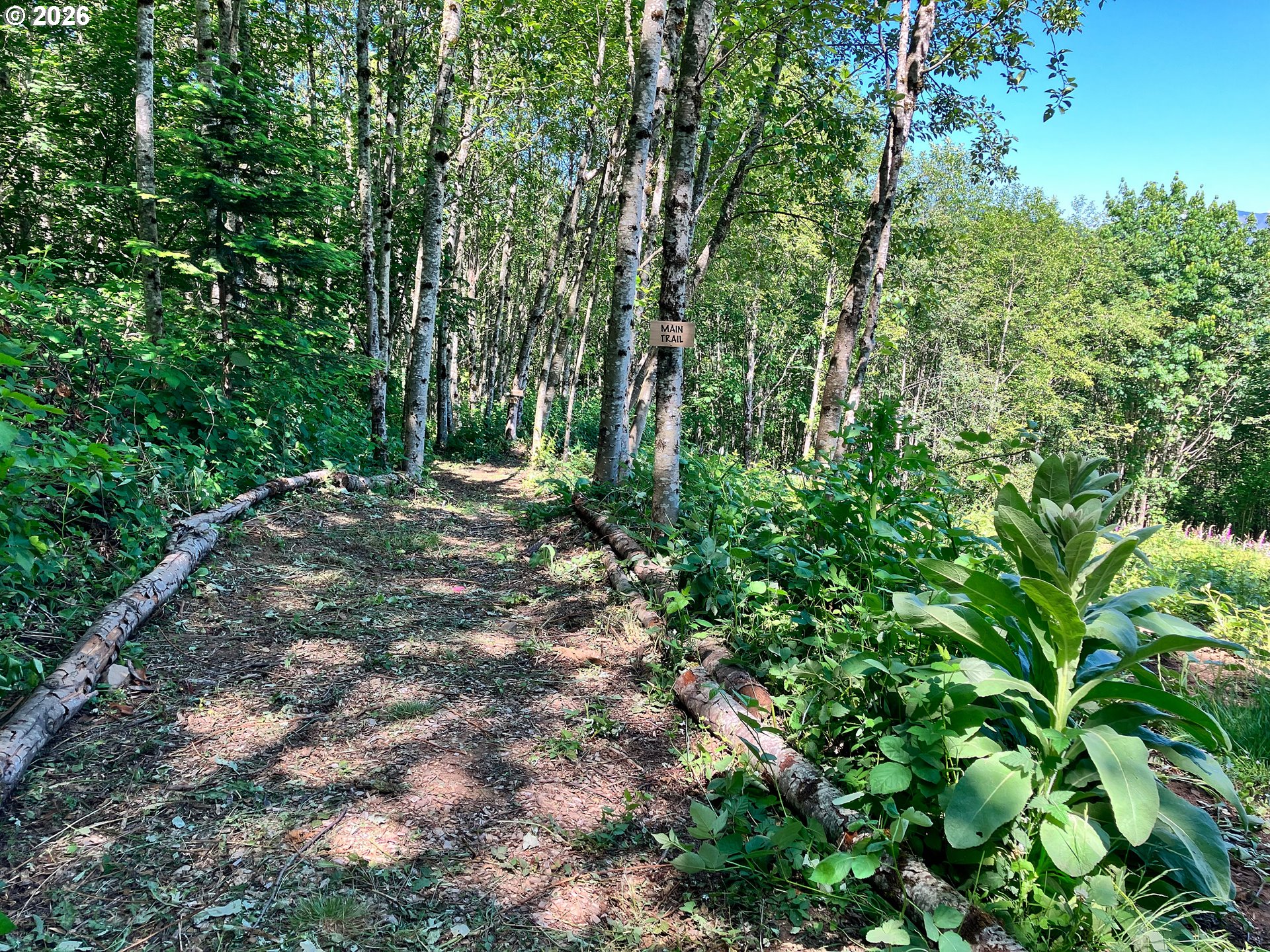 182 White Dog Road Washougal, WA 98671 - Photo 17 of 23 a view of outdoor space and trees