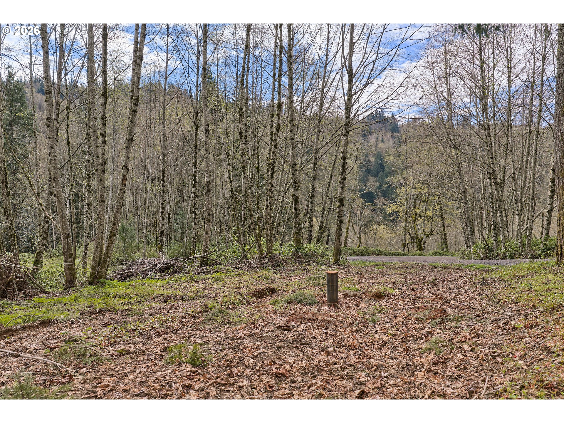 182 White Dog Road Washougal, WA 98671 - Photo 18 of 23 a backyard of a house with lots of green space
