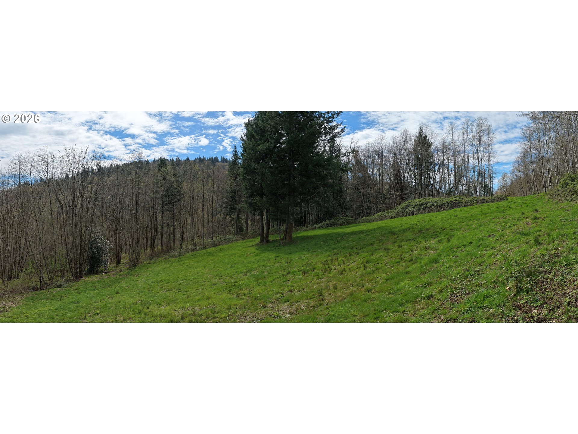 182 White Dog Road Washougal, WA 98671 - Photo 5 of 23 a open area with grassy field