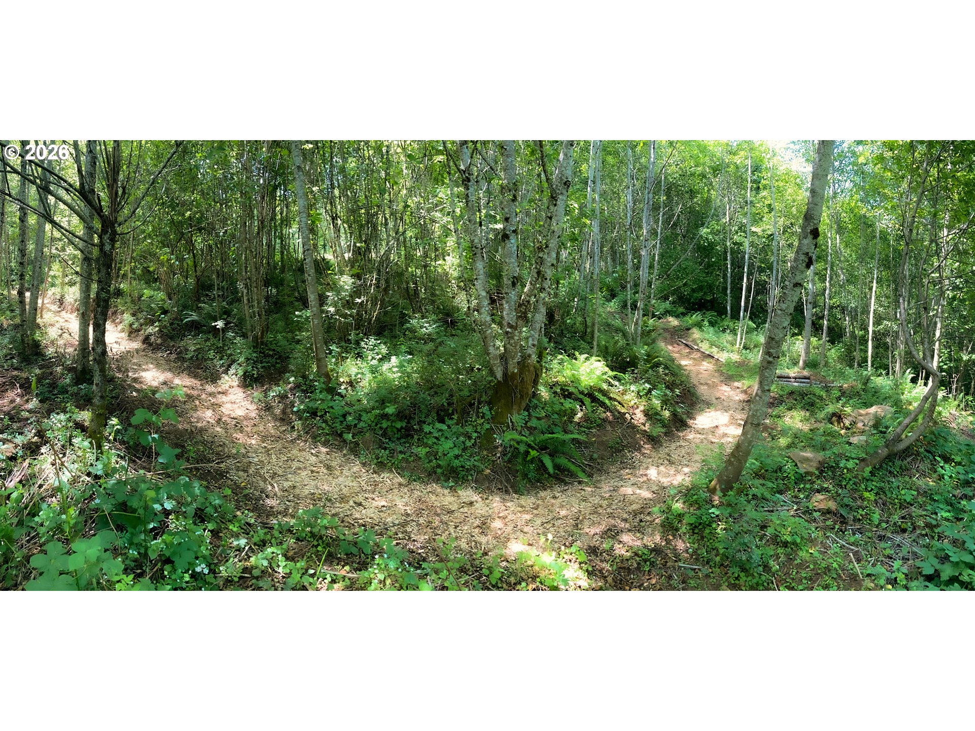 182 White Dog Road Washougal, WA 98671 - Photo 9 of 23 a view of a garden