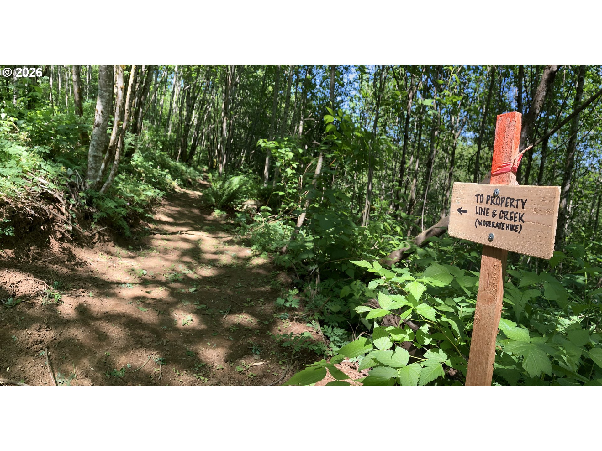 182 White Dog Road Washougal, WA 98671 - Photo 10 of 23 a picture of a park